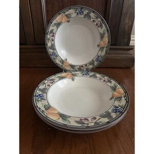 Mikasa Intaglio Garden Harvest Rim Soup Pasta Bowls Stoneware 9.25" Set of 3